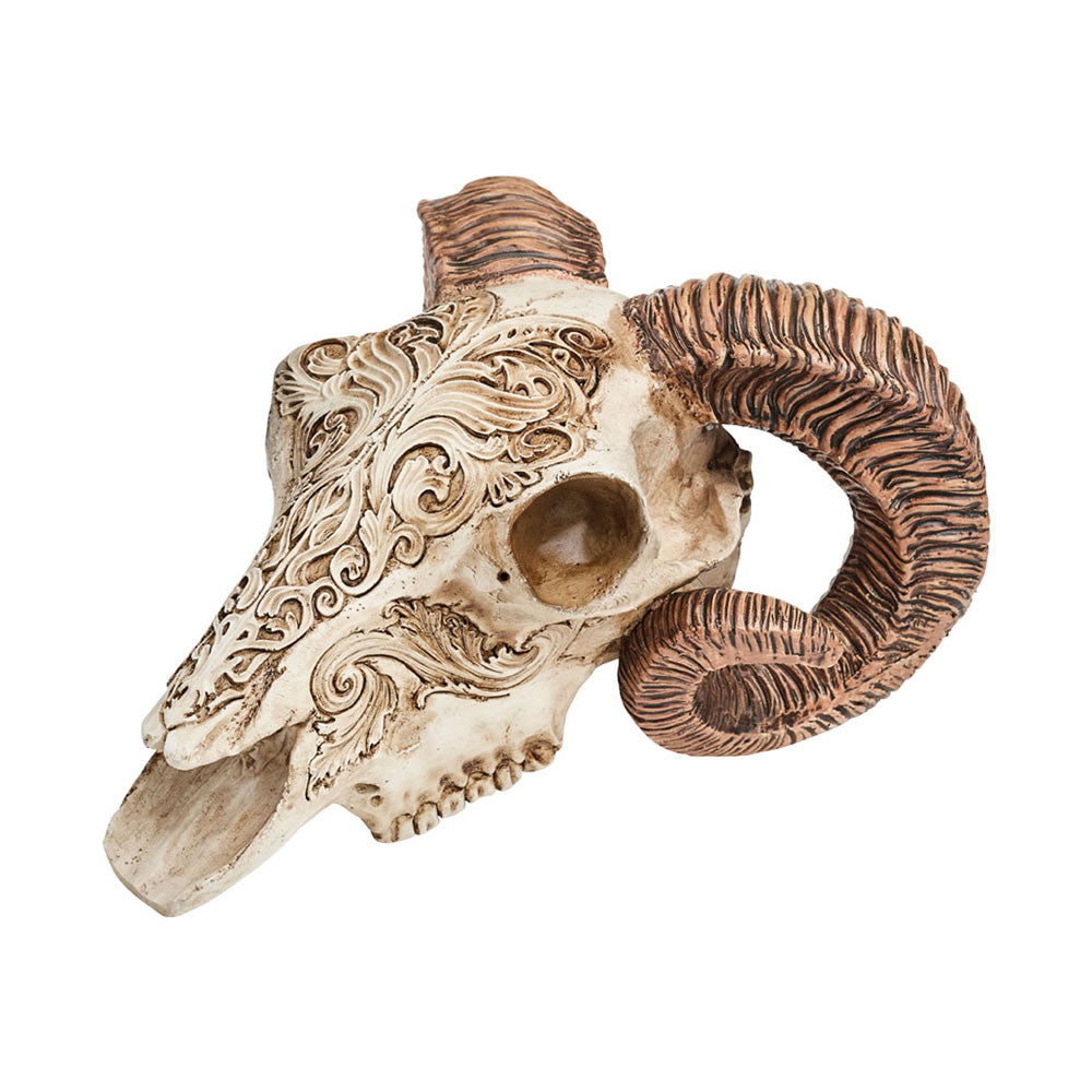 Alchemy Gothic Resin Scrimshaw Ram Skull V53