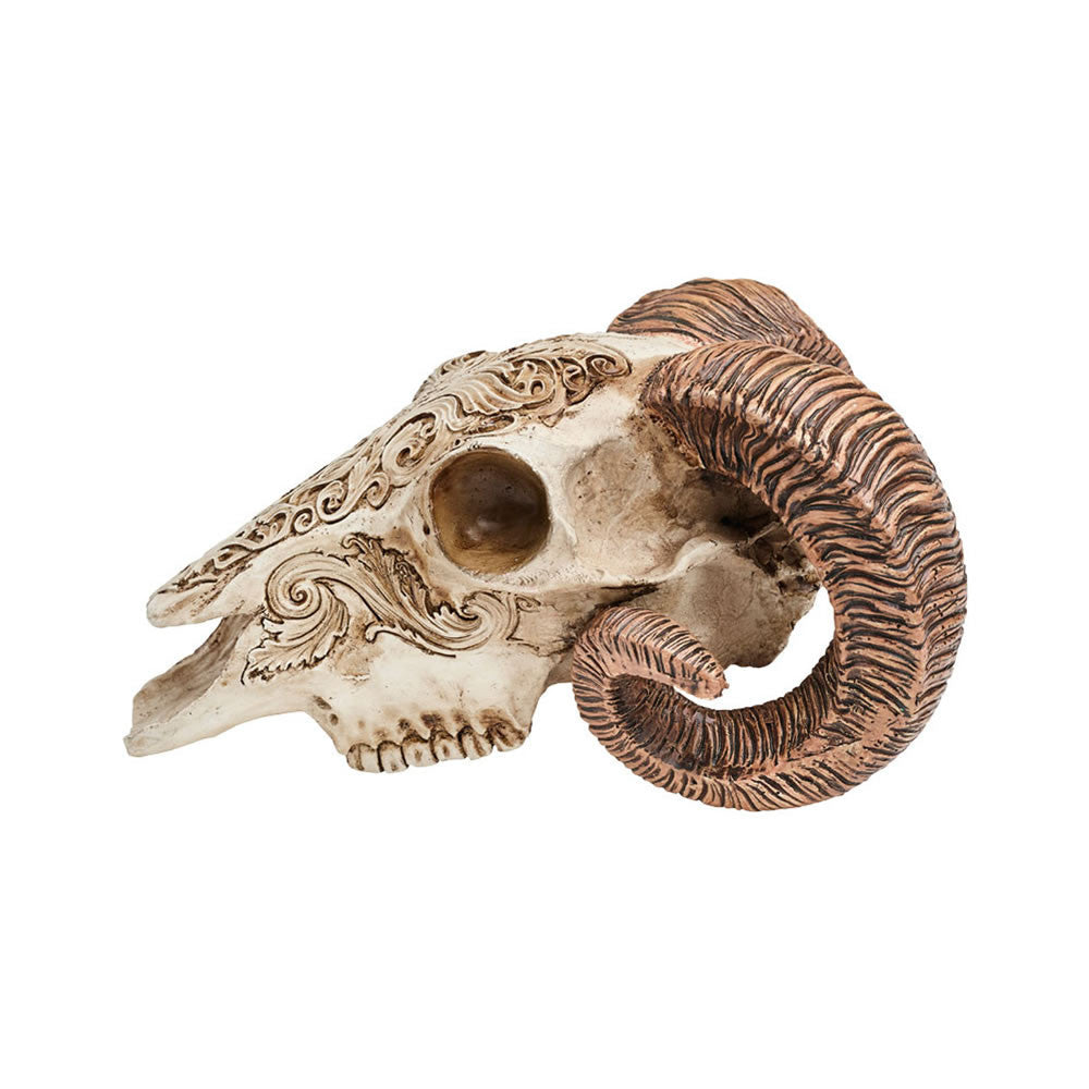 Alchemy Gothic Resin Scrimshaw Ram Skull V53
