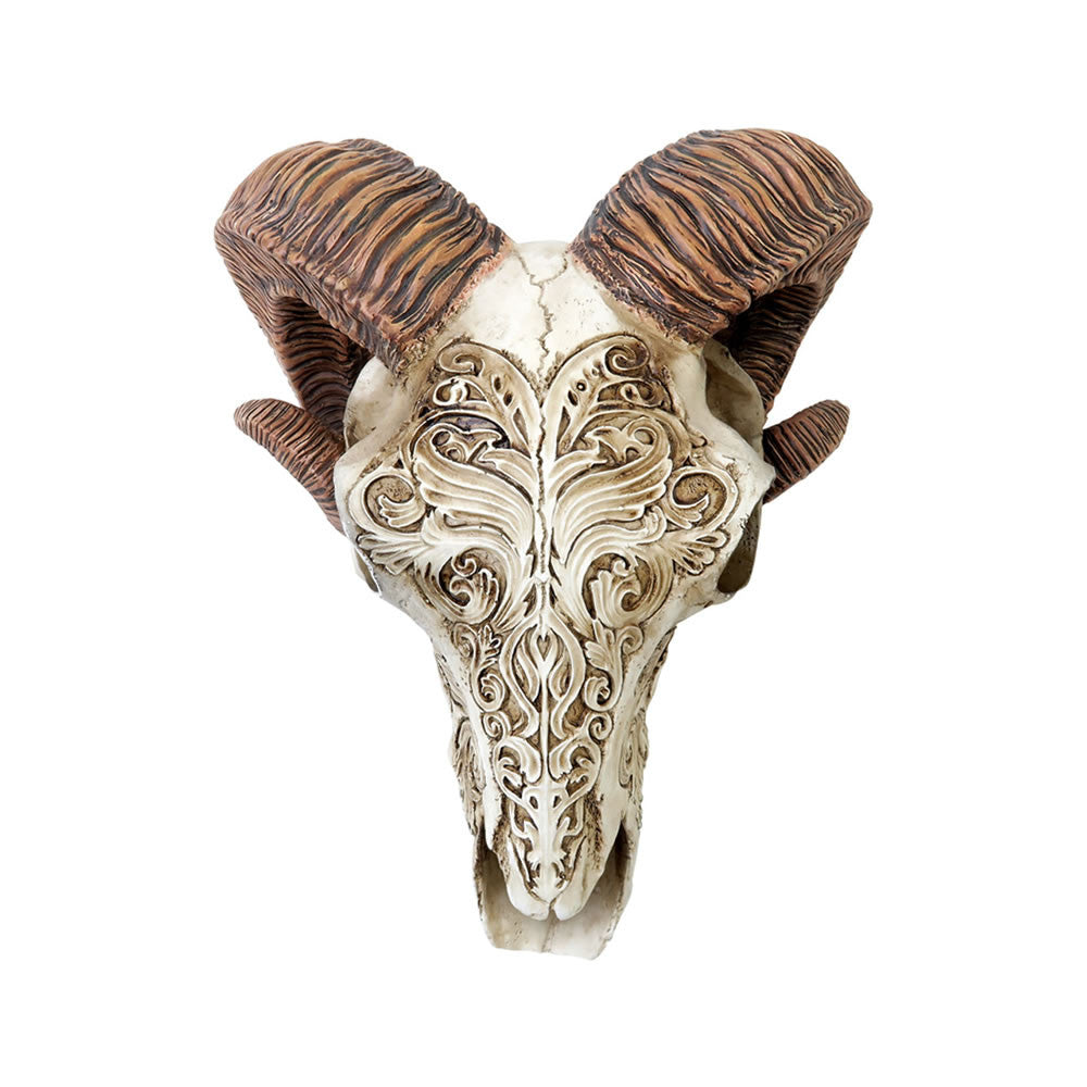 Alchemy Gothic Resin Scrimshaw Ram Skull V53