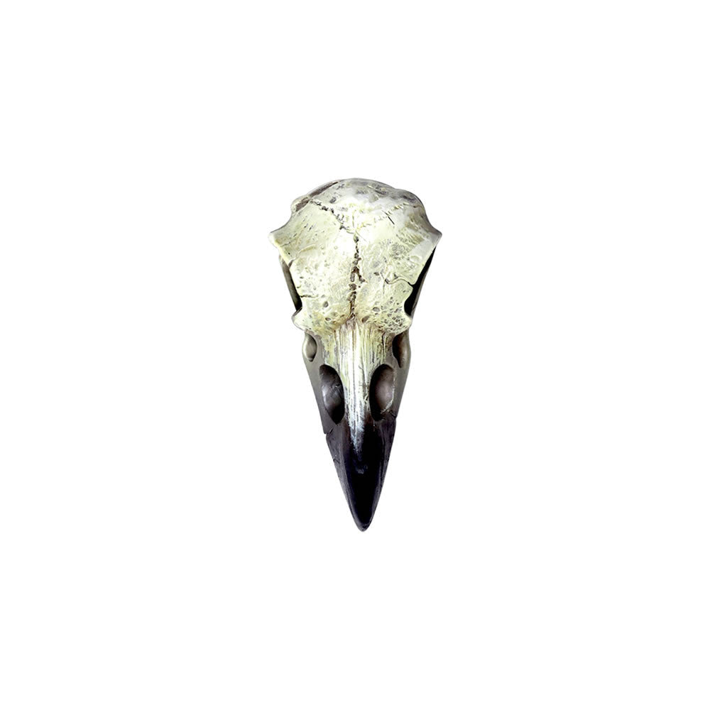 Reliquary Raven Skull