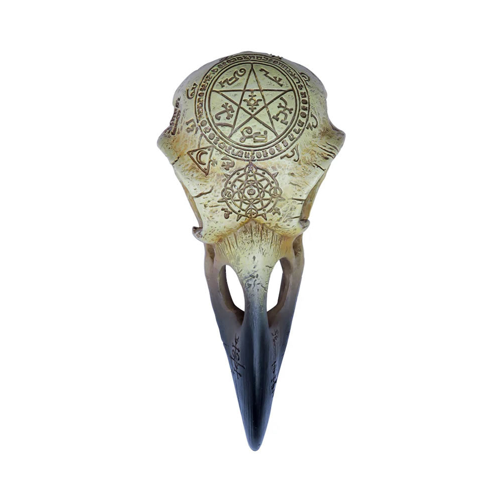 Alchemy Gothic 6.5" Omega Raven Skull V67