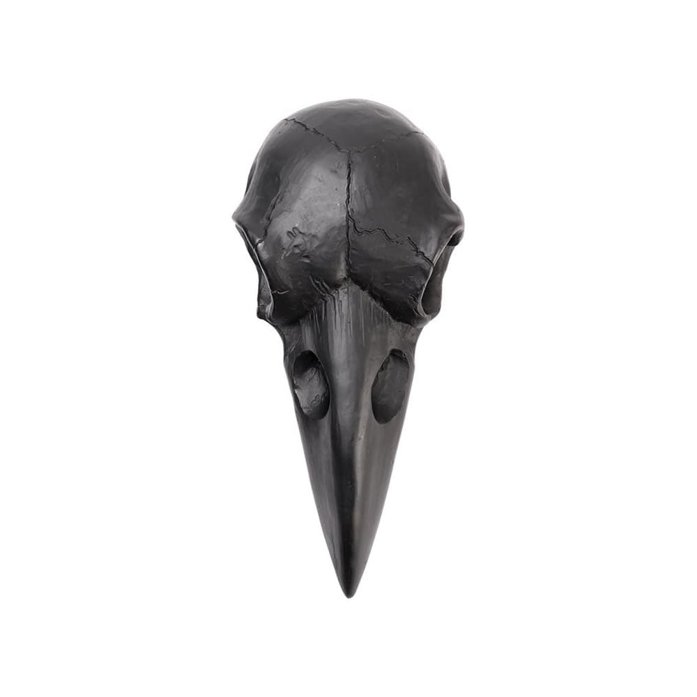 Alchemy Gothic Raven Skull Hand Mirror Silver Black V99