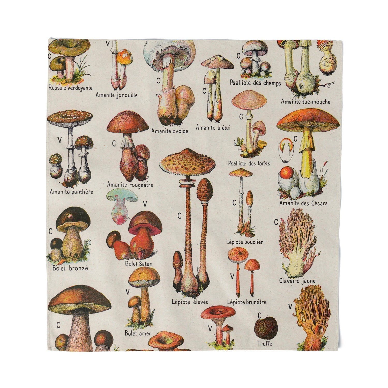 Original Underground Vintage Mushroom Bandana