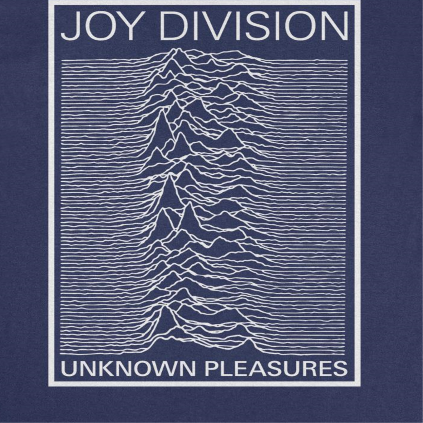 Joy Division Unknown Pleasures Frame Navy Band T-Shirt